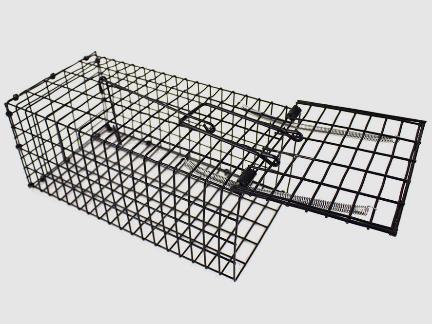 Compact rat live trap