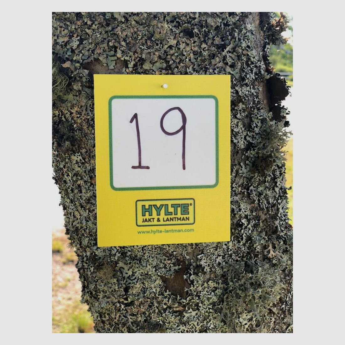 Hylte Schild Gelb