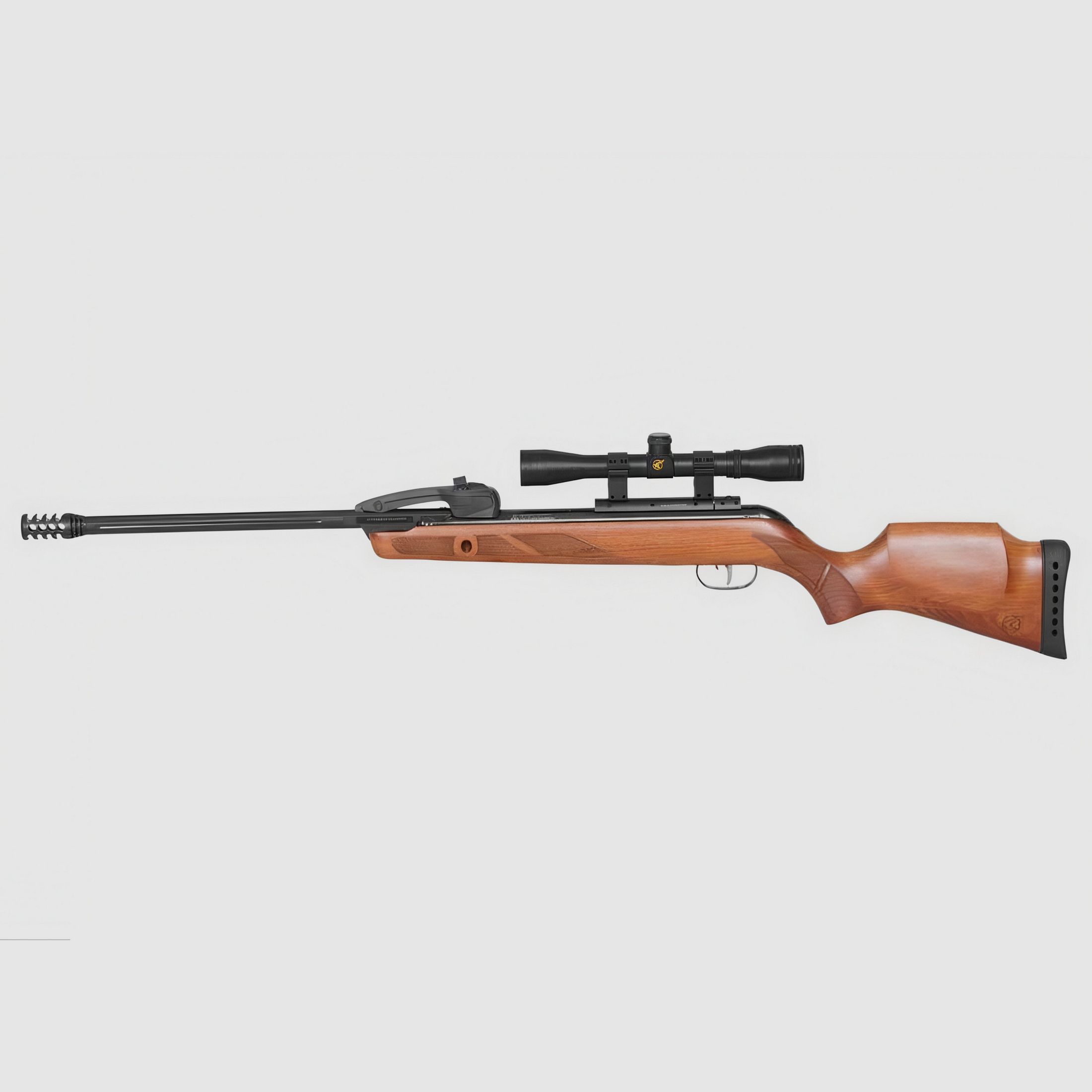 Gamo Fast Shot 10x IGT, Bild 1 von 2