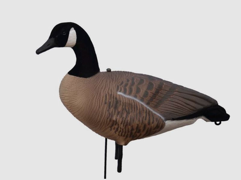 Prodecoys richiami per oca canadese 12 pz full body, immagine 1 di 9