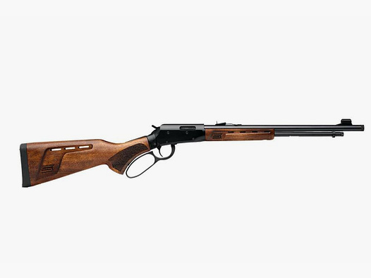 Savage Revel .22lr