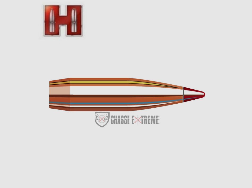 100 Geschosse HORNADY 25 Kal 257 110Gr ELD-X