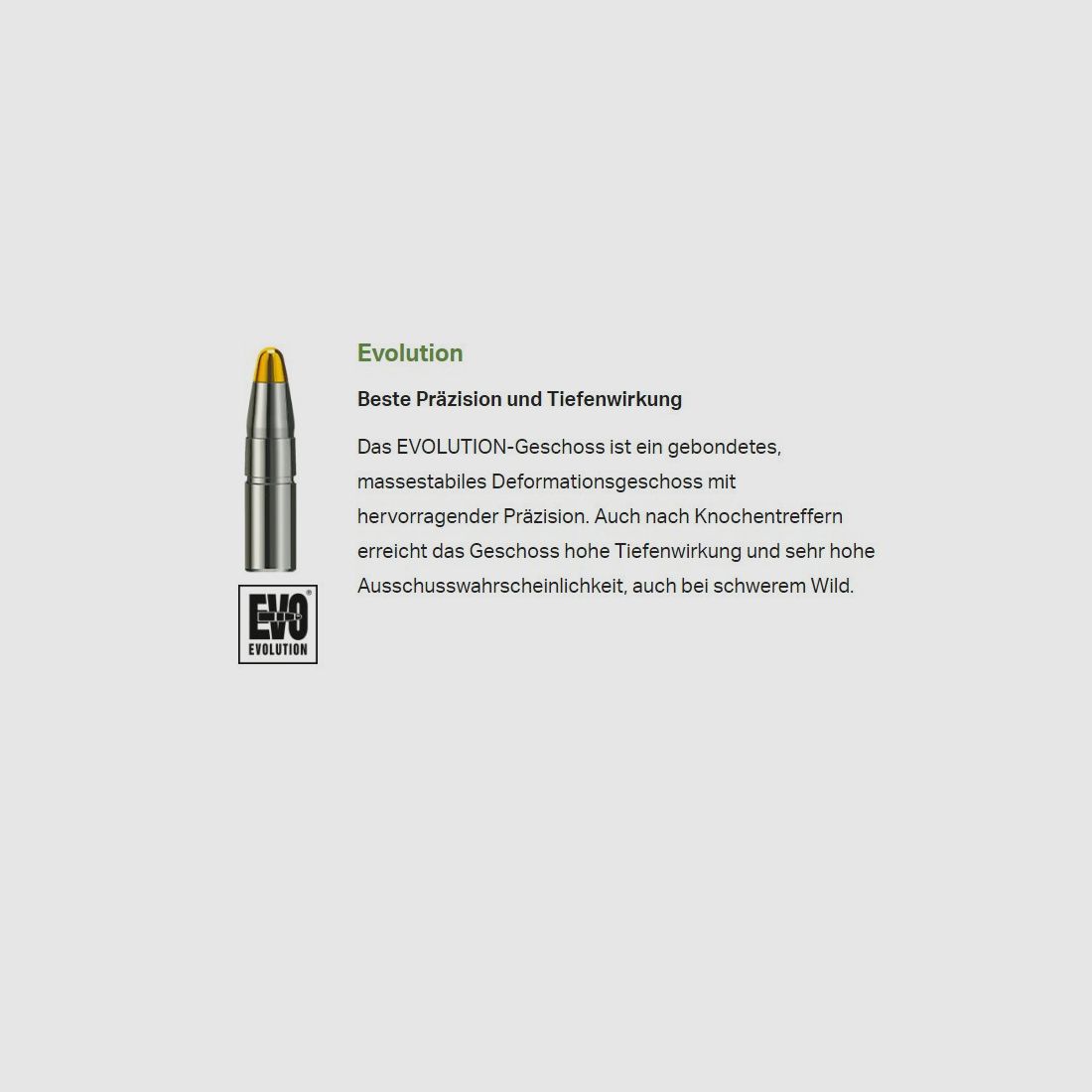 RWS Kugelpatronen 7mmRemMag EVO 20 Stk 10,3g/159grs