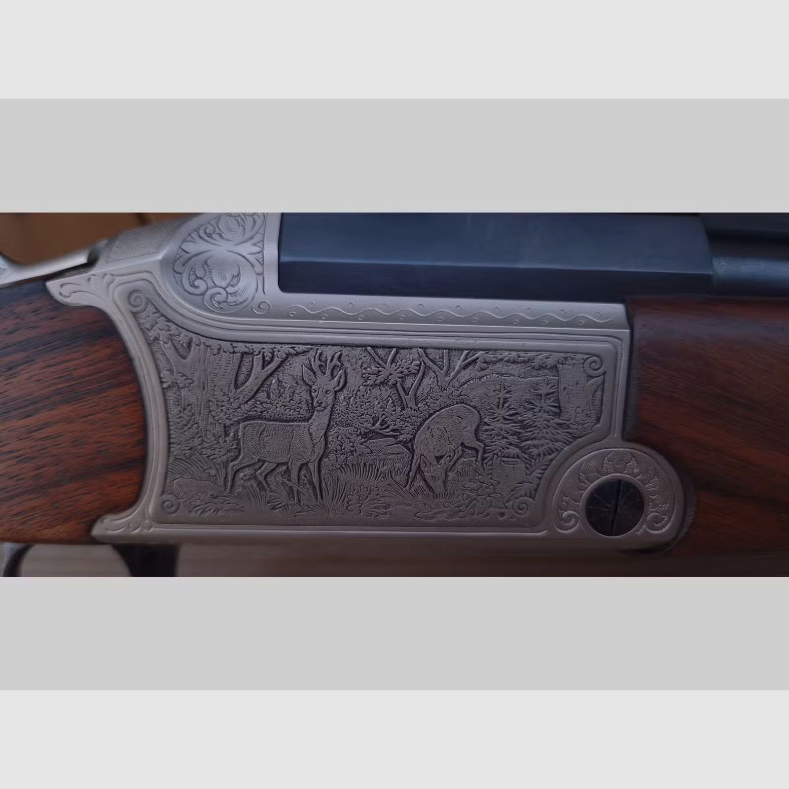 Blaser  BBF 700/88