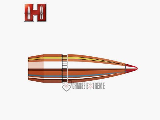 100 Ogives HORNADY 8mm 170 Gr Sst