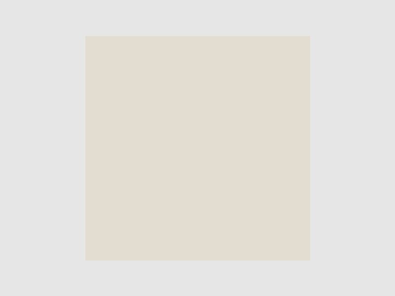 BRESSER SBP28 Papierhintergrund 2,72 x 11m beige von Ostra, Bild 5 von 7