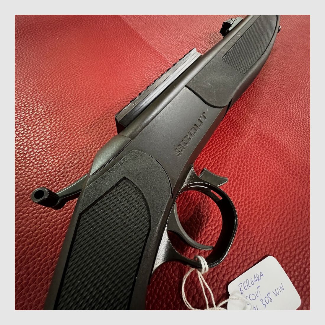 Bergara Scout, Bild 2 von 6