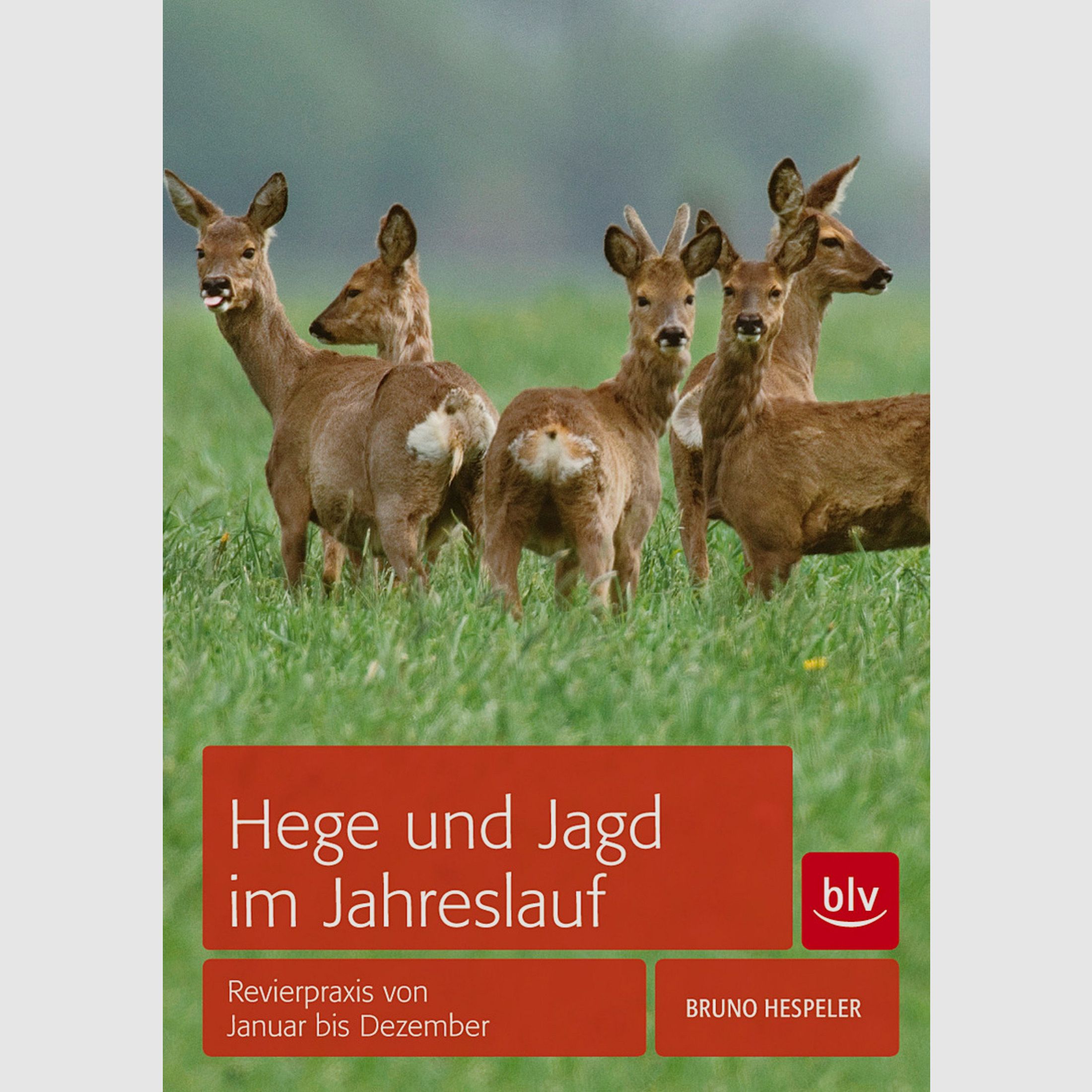 Hege und Jagd im Jahreslauf – Revierpraxis von Januar bis Dezember