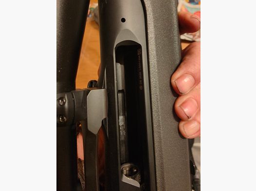 Sauer 303