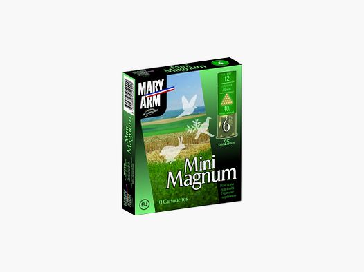 BOX MIT 10 PATRONEN MARY ARM MINI MAG 40G BOURRE JUPE KAL.12/70 BLEI 6 VERGOLDET