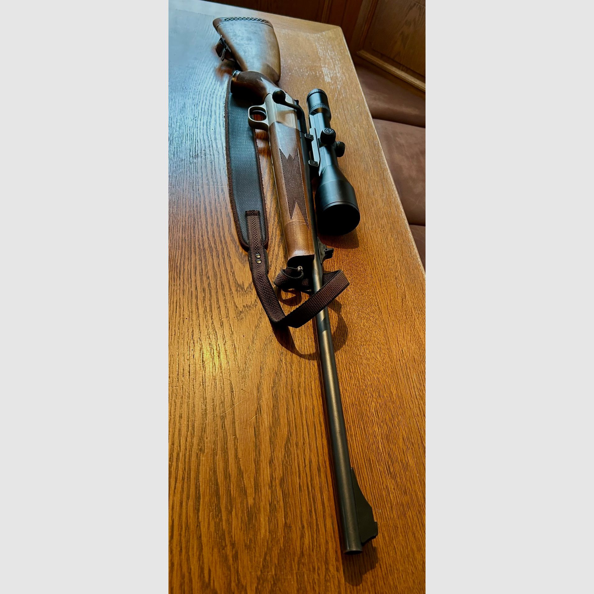 Blaser R93 with Zeiss Diavari VM sighting optics