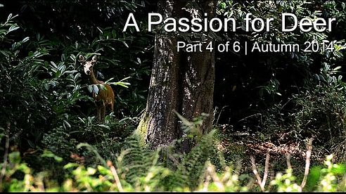 A Passion for Deer - Part 4 of 6