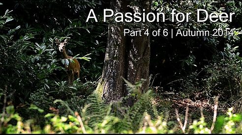 A Passion for Deer - Part 4 of 6