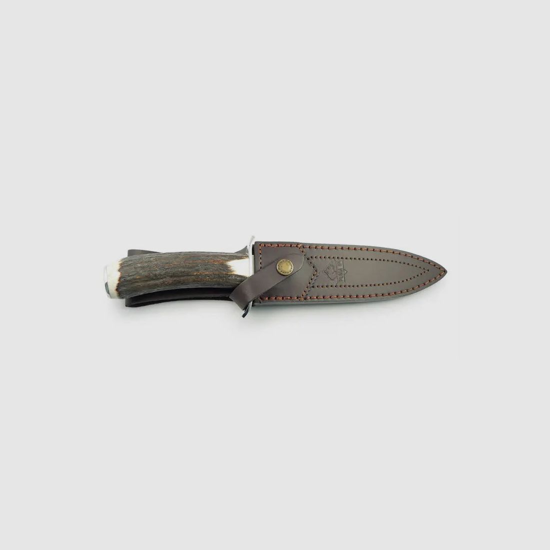 PUMA IP wild boar, image 7 of 7