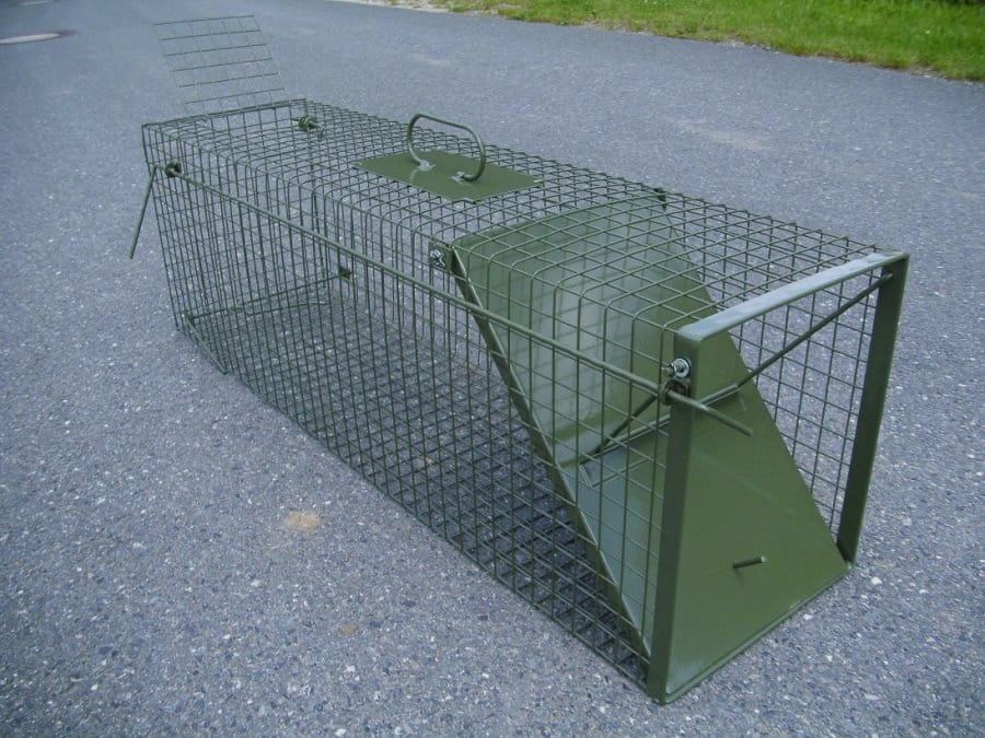 DAUTH Drahtkastenfalle mit Zugauslösung