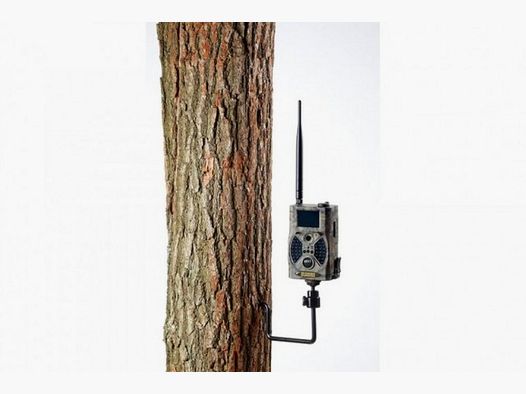 support d'arbre