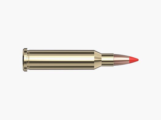 .17 Hornet V-Max Hornady 20gr