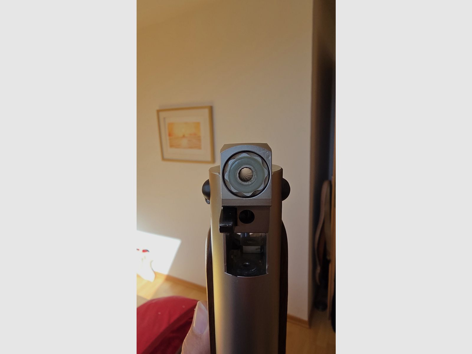 Weihrauch Hw 35 K Stainless  Nussbaumschaft!