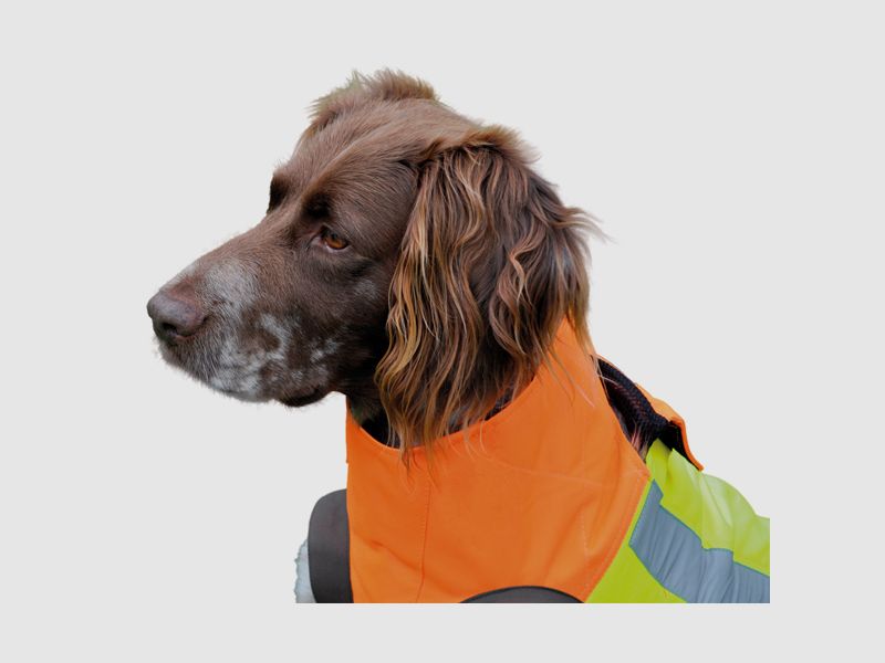 Gilet protettivo per cani Hubertus - arancione, resistente a strappi e spine