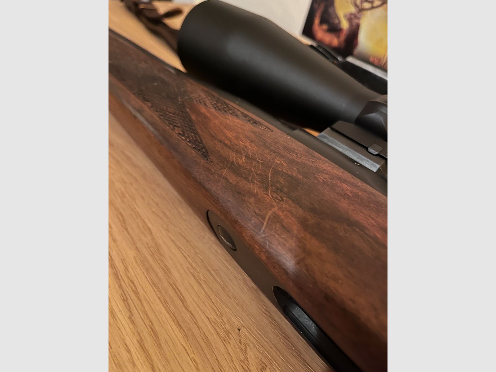 Sauer 80