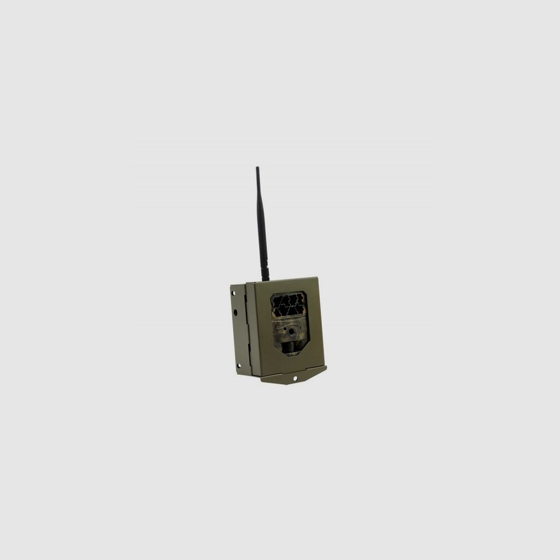 Sixty-degree steel housing for wildlife cameras