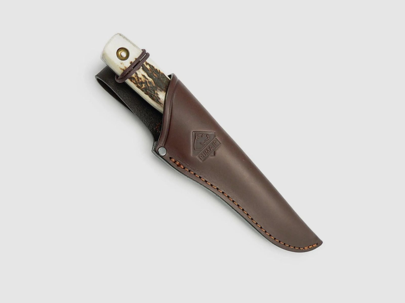 PUMA IP fallow deer, stag