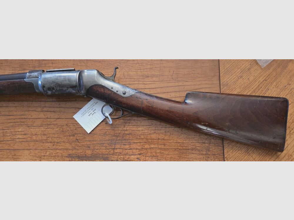 Roper Mod.1866