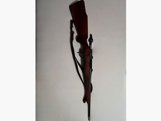 Steyr Mannlicher Mod. L