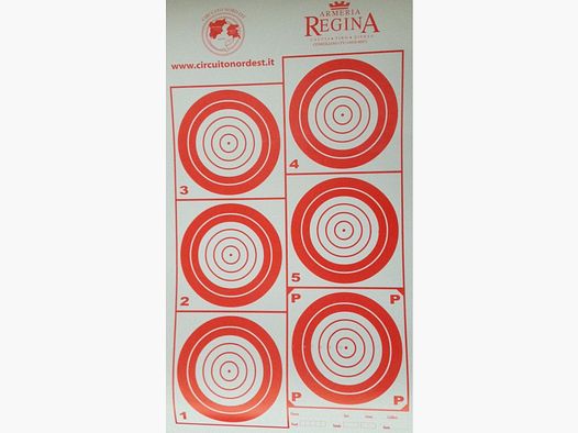 BERSAGLIO HUNTER 200 MT. 6 CENTRI 250 PZ.