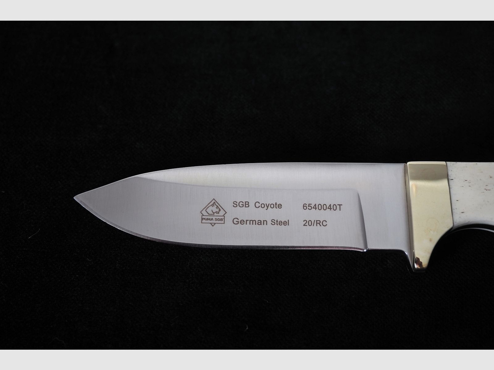 Puma SGB Coyote Glattes Weißes Knochen-Jagdmesser mit Lederscheide, Vitrinen Stück aus Sammlung, Neu und unbenutzt