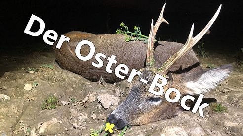 Der Oster-Bock