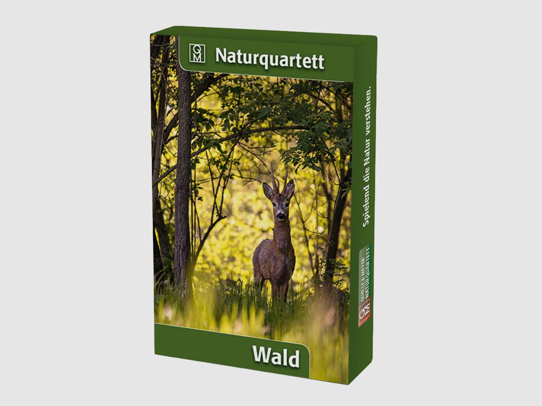 Naturquartett "Wald"