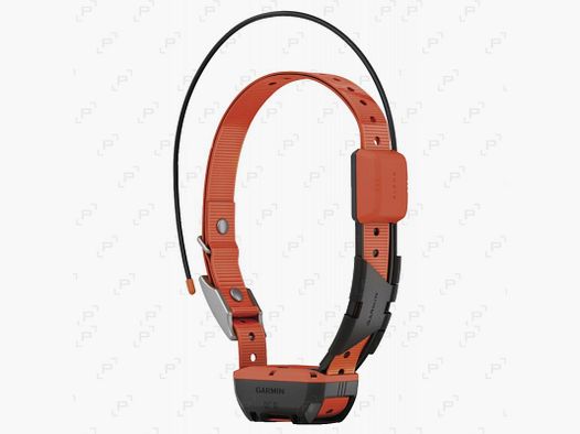 Additional Tracking Collar GARMIN T20F