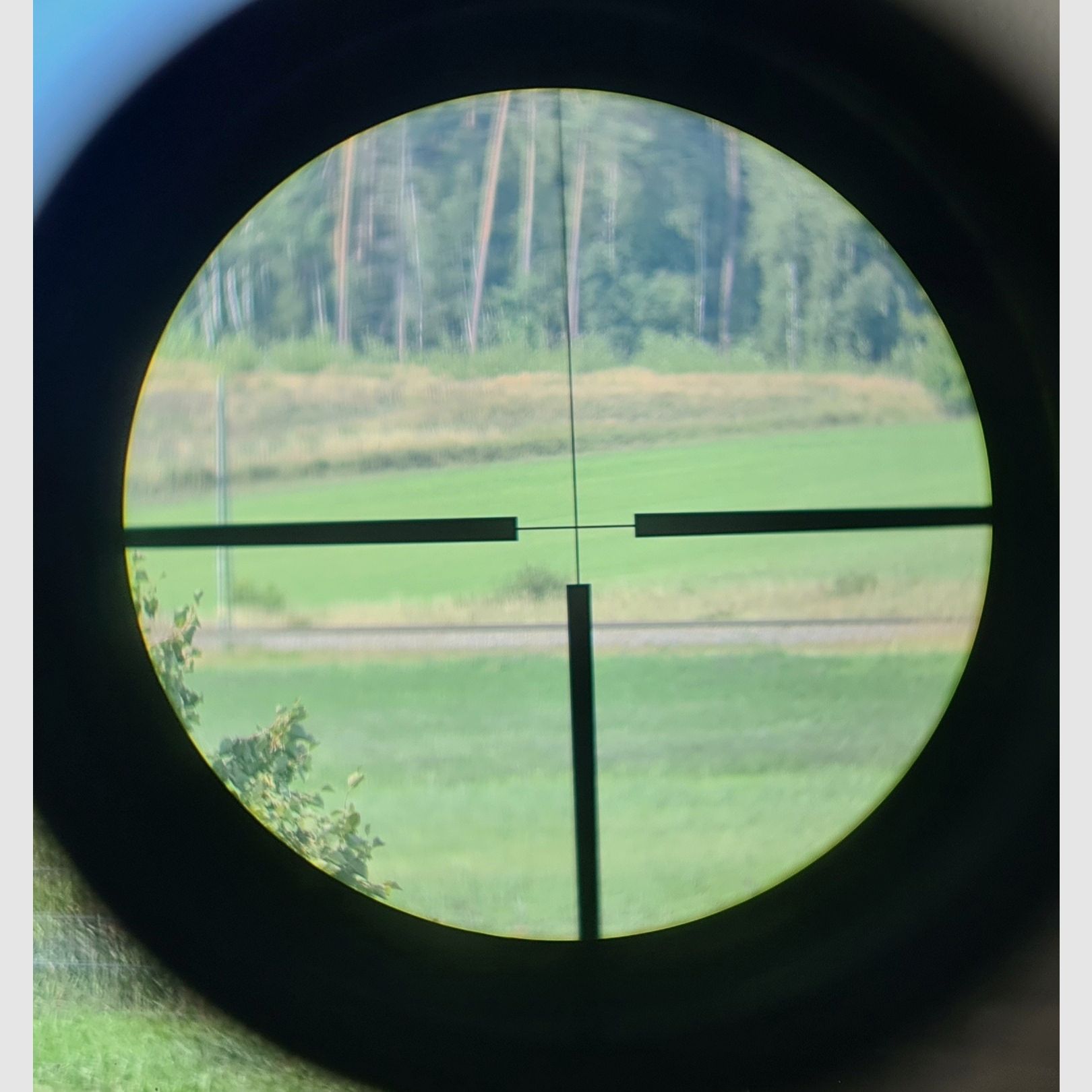 Fucile a ripetizione Mannlicher Schönauer Steyr 1952 GK in 7x64 incluso ZEISS ZF