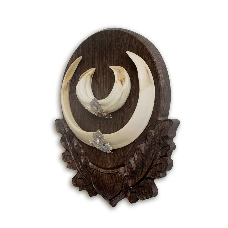 Noble Hunt plaque de trophée de sanglier, image 3 sur 4