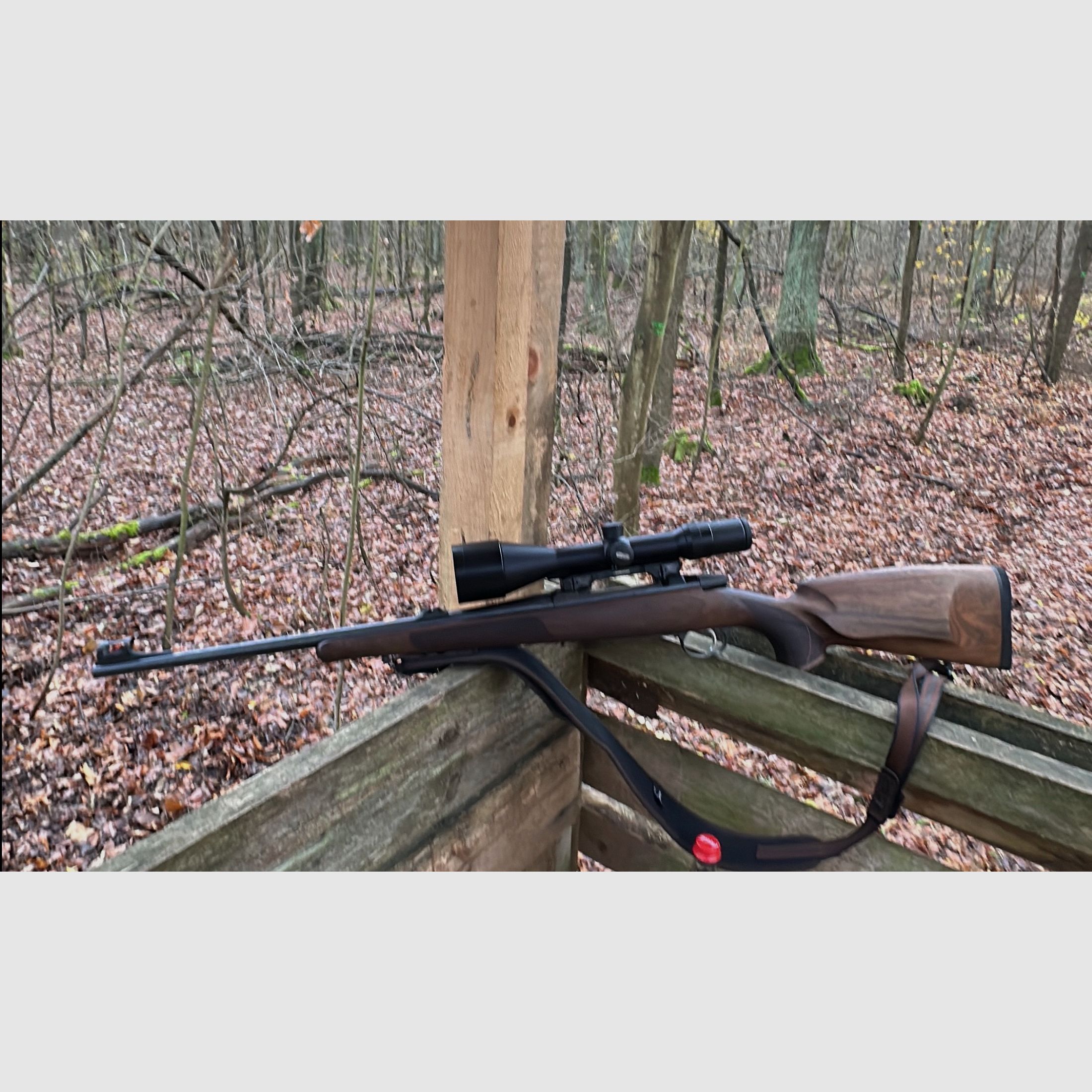 CZ 557 in 30.06 Meostar R1r 3-12 x56 met verlicht punt