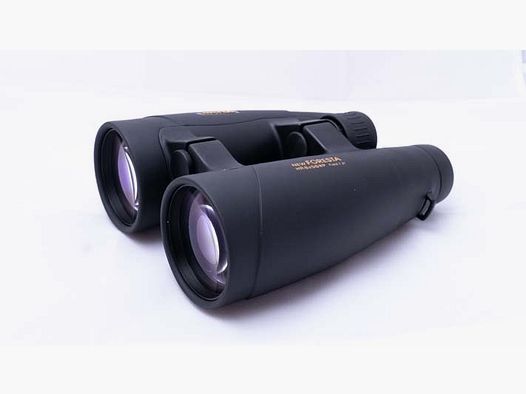 New Foresta 8×56