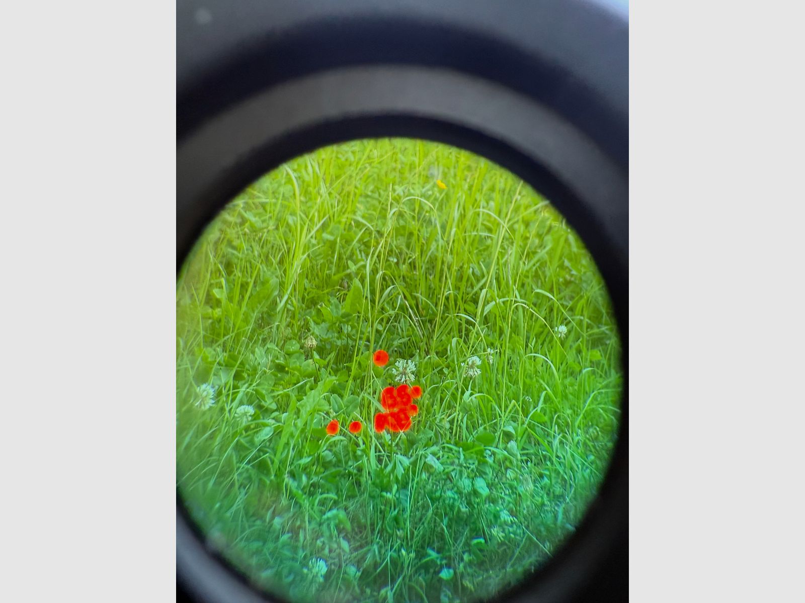 DDOPTICS Pirschler Ranger 10x45 Laserentfernungsmesser 