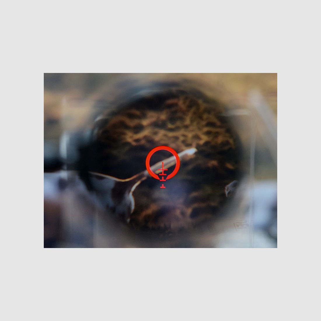 Bushnell AR-Optik 1-4x24 mm