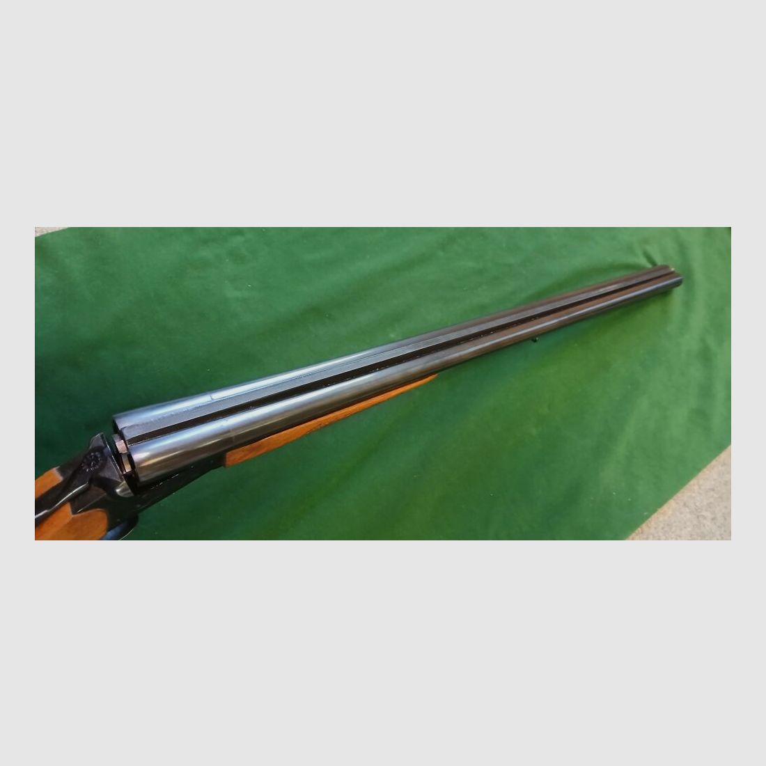 Baikal 43 E
