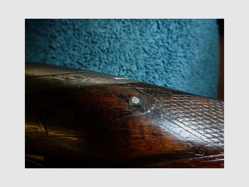 Charlin System Darne shotgun