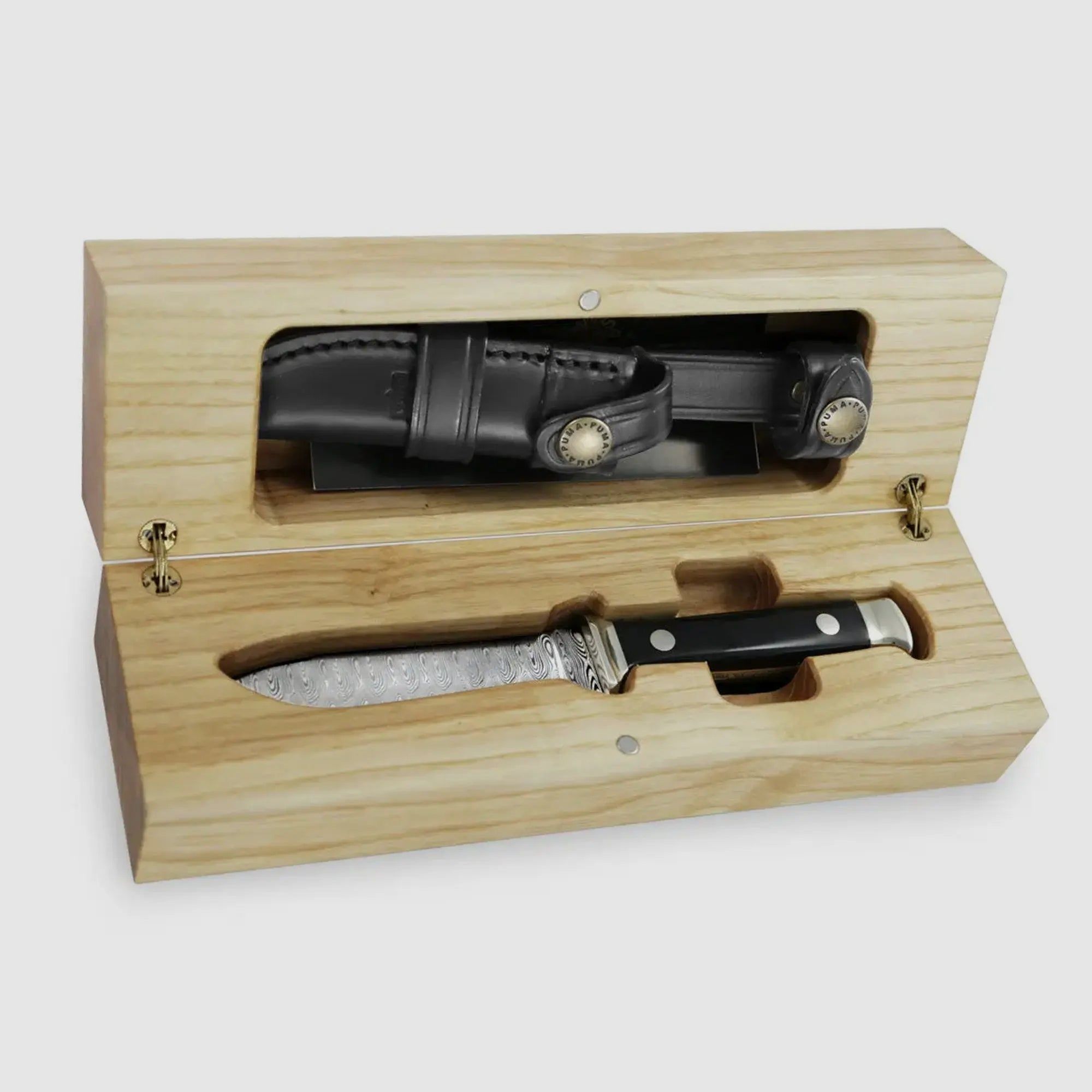 PUMA Coltello Annuale 2025 Corno di Bufalo