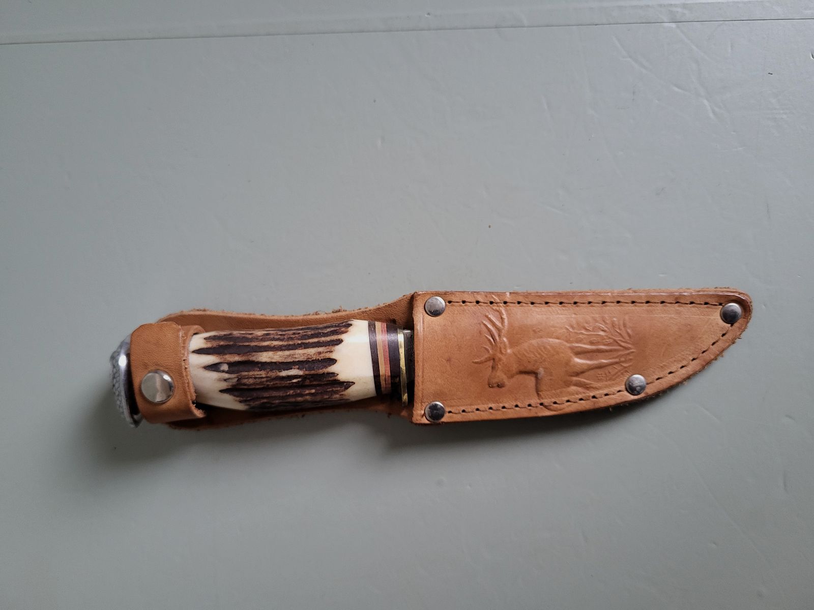 Coltelli da caccia vintage - Solingen - Corno di cervo - Pomolo a forma di uccello - Germania occidentale