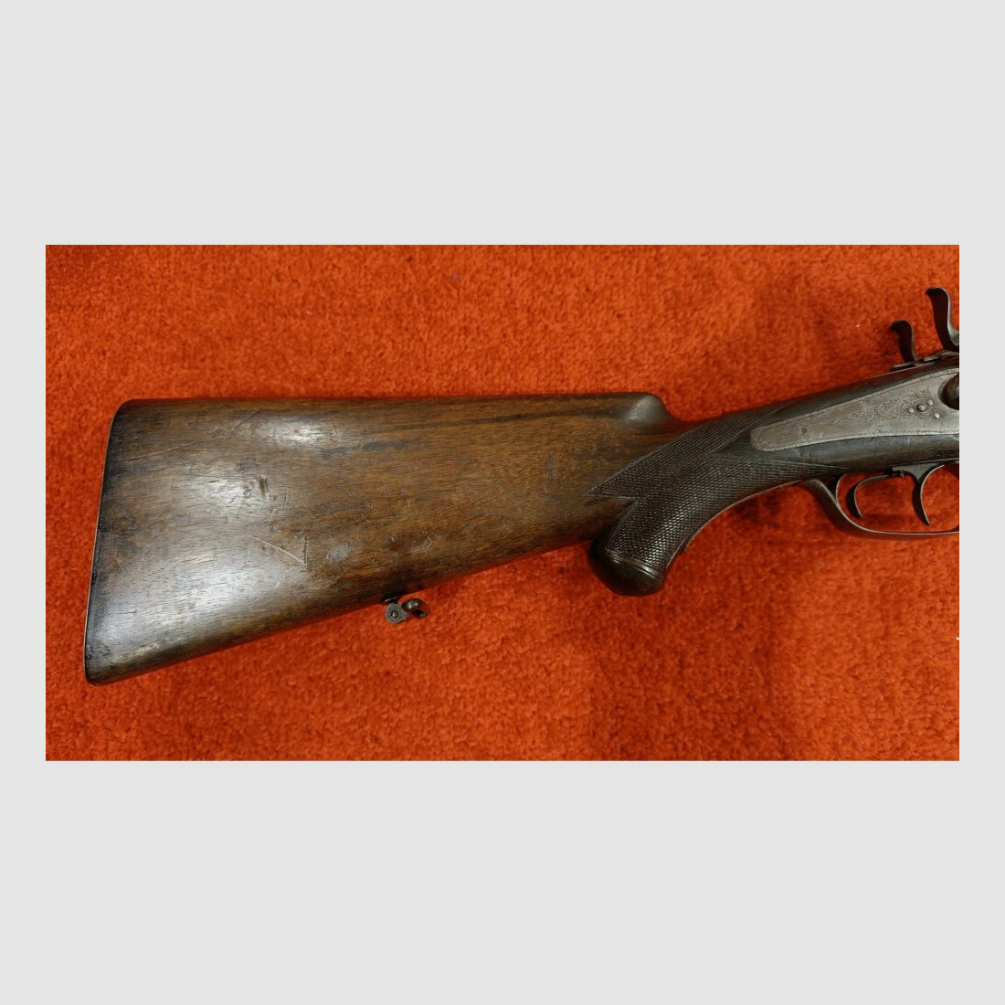 unbekannt ohne 16/65;.44(BlackPowder)