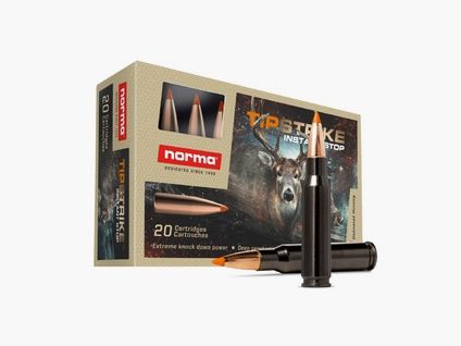 NORMA .308 Win. Tipstrike Silencer Series 11,0g/170gr