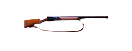 Browning Auto 5