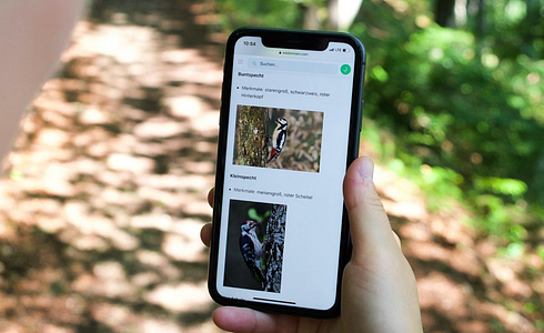 Waidwissen - die ideale App für Jagdschüler