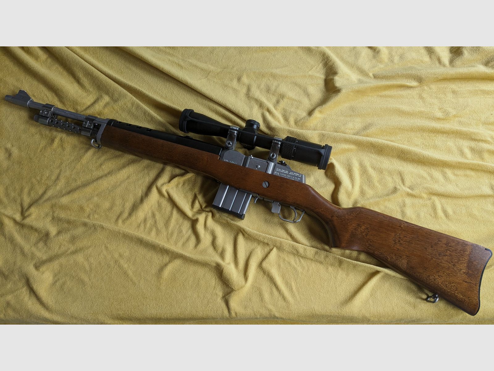 Ruger Mini 14 