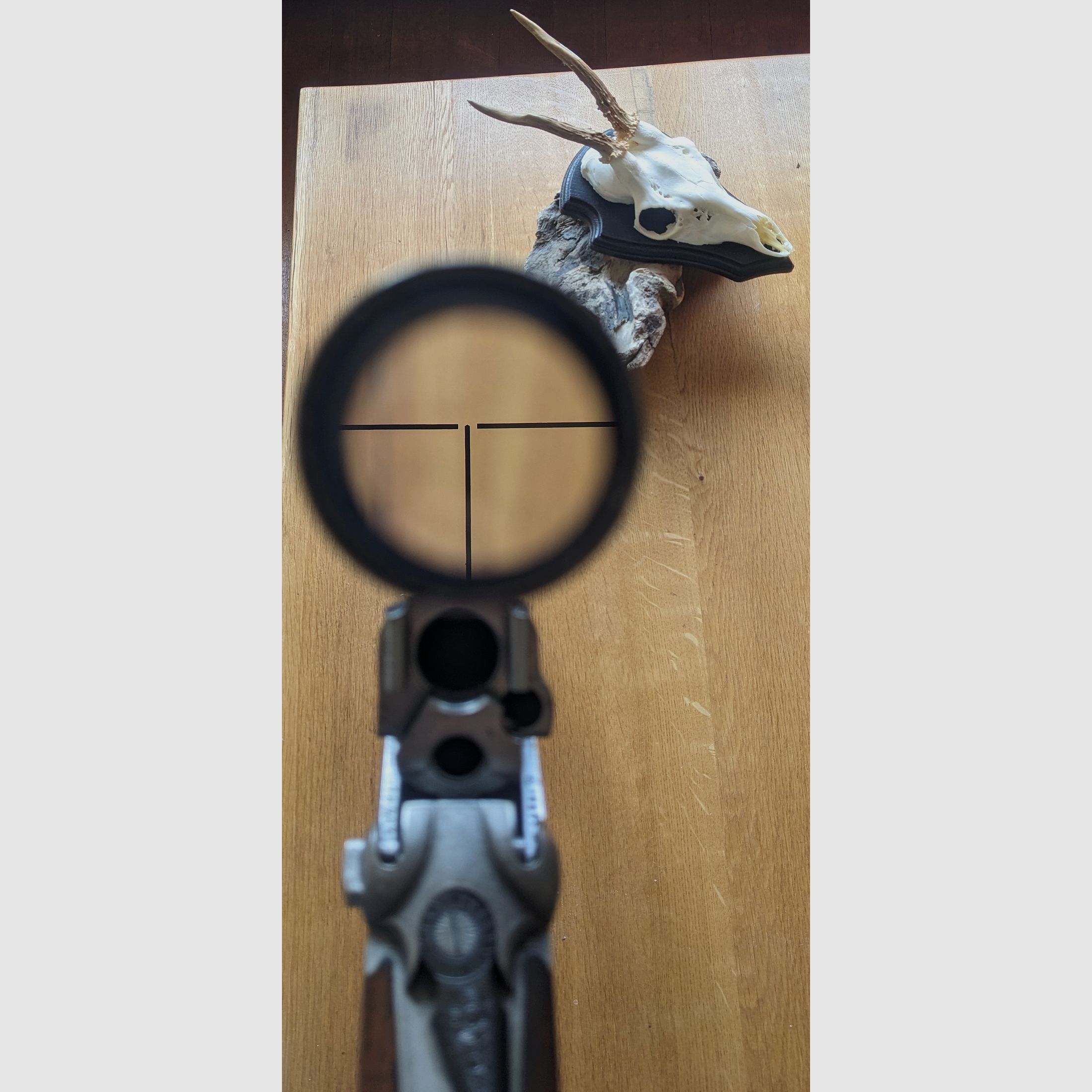 Ferlacher Bockdrilling – Franz Sodia (Kratochwil & Pleiter)