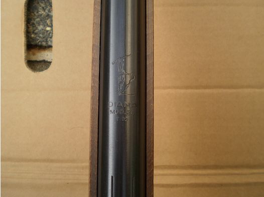 Diana 24 T02 avec F